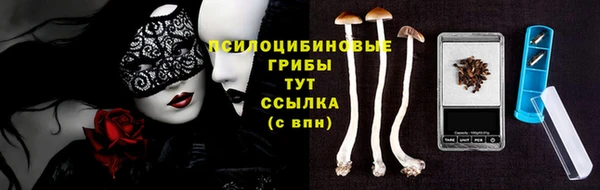 ПСИЛОЦИБИНОВЫЕ ГРИБЫ Конаково