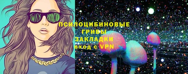 a pvp Лиски