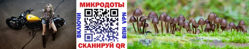 Псилоцибиновые грибы мухоморы Моршанск